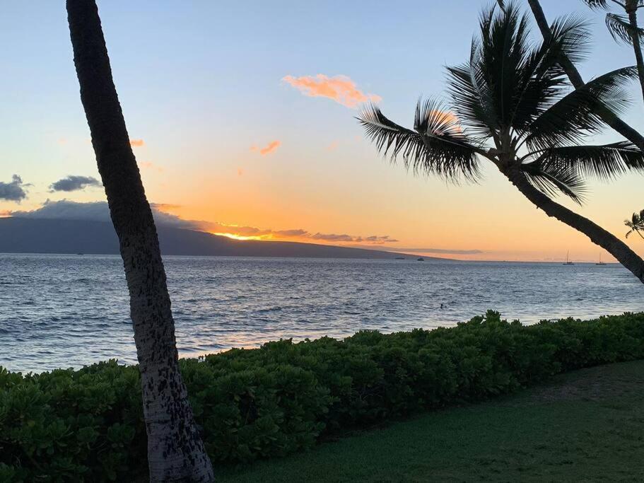 2b/2b Gorgeous Sunsets-ocean View -pool Apartment *